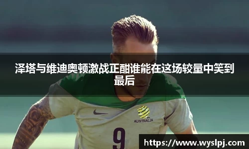 泽塔与维迪奥顿激战正酣谁能在这场较量中笑到最后